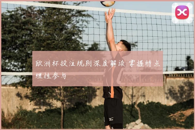 欧洲杯投注规则深度解读 掌握特点理性参与