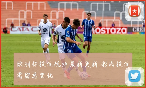 欧洲杯投注规矩最新更新 彩民投注需留意变化