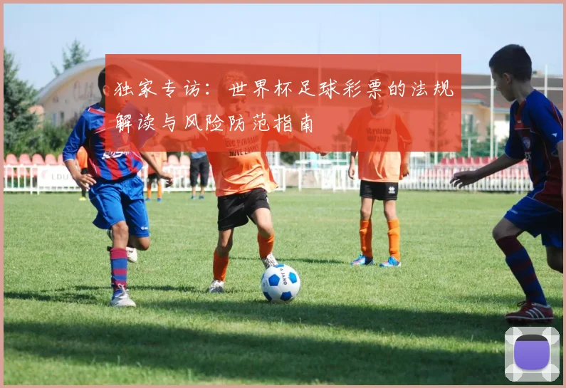 独家专访：世界杯足球彩票的法规解读与风险防范指南