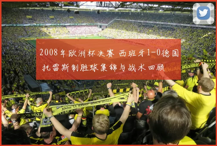 2008年欧洲杯决赛 西班牙1-0德国 托雷斯制胜球集锦与战术回顾