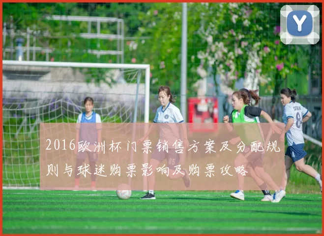 2016欧洲杯门票销售方案及分配规则与球迷购票影响及购票攻略