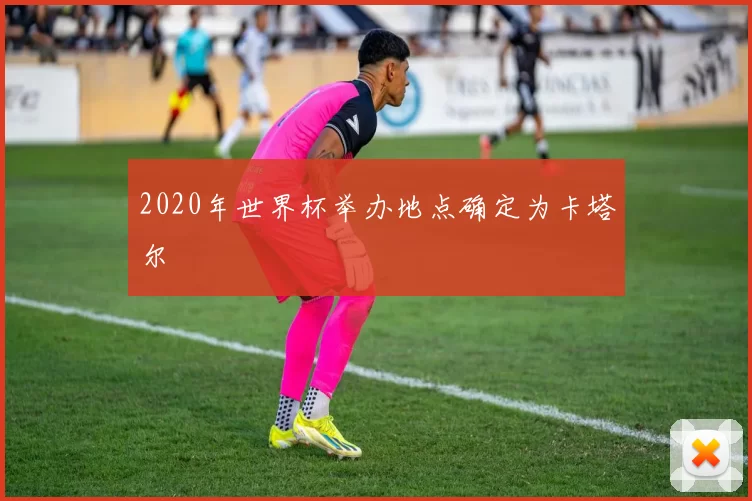 2020年世界杯举办地点确定为卡塔尔